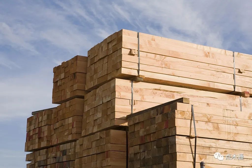 八省木材價格下跌！全國木材市場再次降溫！